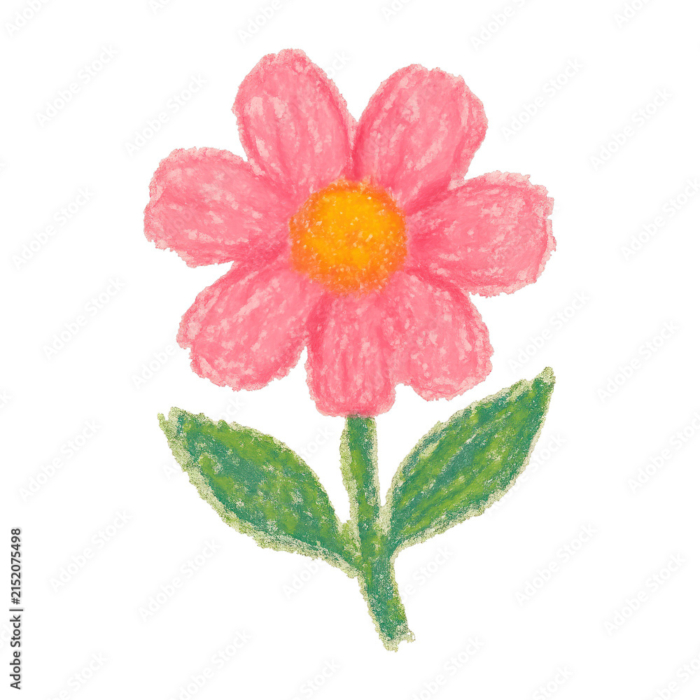 Fototapeta premium PNG Colorful crayon flower illustration