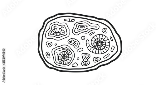 Cuadro en lienzo Cell biology structure illustration.