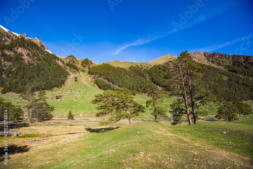 Caucasus Mountains spring landscape. Karachay-Cherkessia republic, Russia