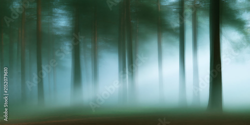 Mystical foggy pine forest with tall trees and ethereal blue green light casting soft sunbeams