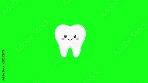 Healthy tooth animated happy clean tooth character smiling and shining brightly 4k chroma key green screen background