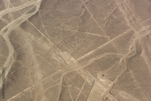 Aerial View of Nazca Lines, Nazca City, Peru