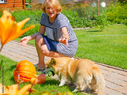 Senior woman playing with corgi dog in summer garden. Happy lady having fun with pet outdoors. Leisure activity in backyard, rural lifestyle, retirement hobby, companion animal interaction.