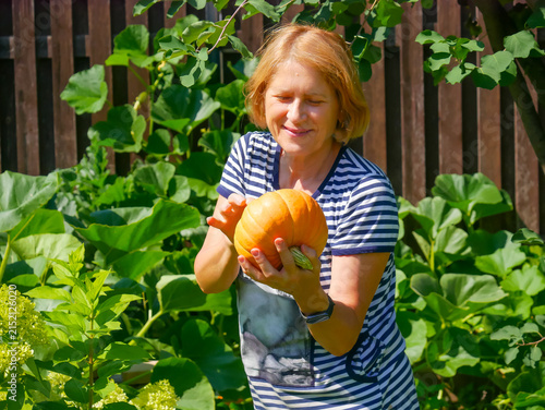 Senior woman gardener holding ripe orange pumpkin in vegetable garden. Mature lady harvesting vegetable in summer. Agricultural hobby and healthy organic food cultivation concept.