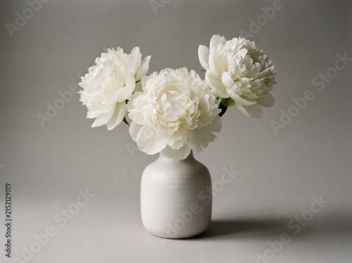 Three white peonies in a minimalist vase against a soft grey studio background