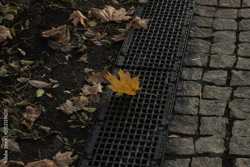 A yellow leaf sits on a metal drain cover surrounded by other fallen leaves and cobblestones in an urban park during autumn days.