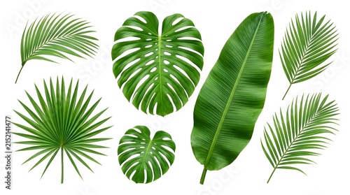 Tropical leaves collection in vibrant green with natural textures on white background for summer design
