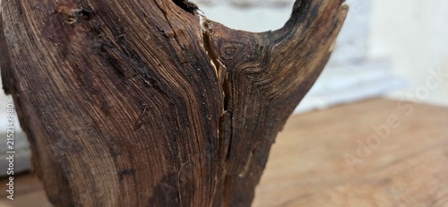 Quadro su tela The wood grain appears like an organic map