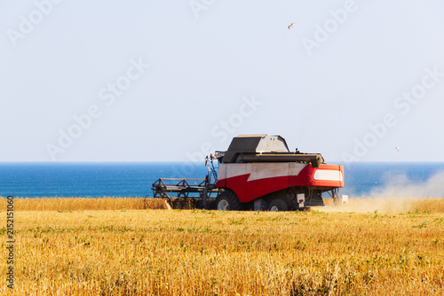 Red combine harvester harvesting a ripe golden grain field on a sunny coastal landscape, with blue sea on the horizon and light dust trailing behind