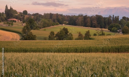 Summer landscape in Herrliberg 