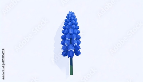 Close up of a single blue hydrangea flower.