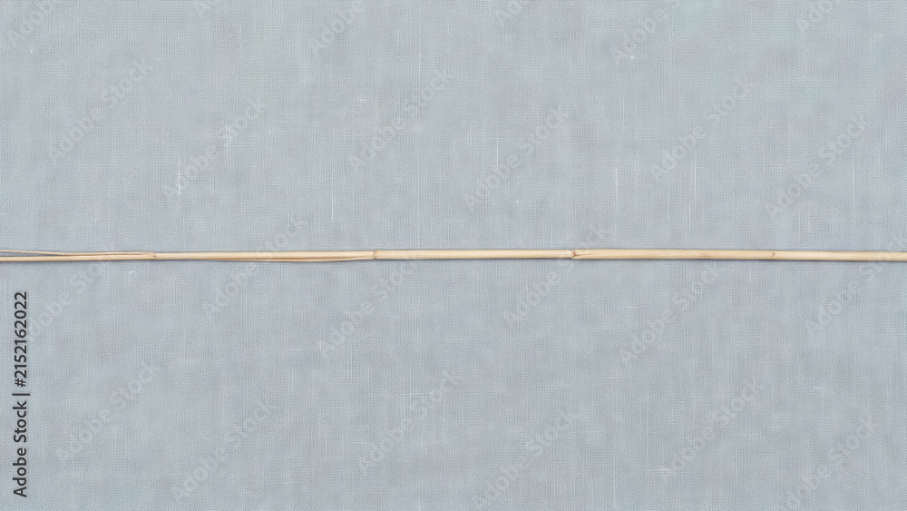 Fototapeta premium Thin dried grass stem placed horizontally across the center of a light grey fabric background