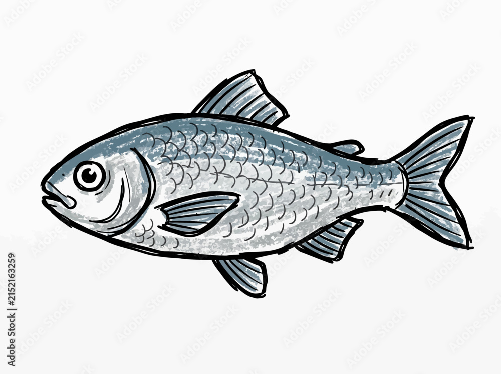Fototapeta premium Featuring Handdrawn Whole Fish Outline Dynamic High-Quality Stock Image