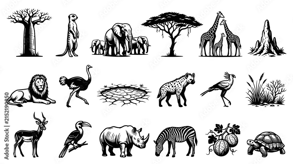 Obraz premium Black and White African Wildlife Vector Collection - Safari Animals and Plants