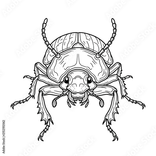 Isolated Line Art Beetle Insect Illustration