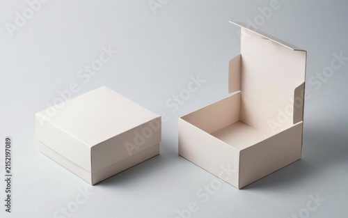 Two beige cardboard boxes, one closed and one open, on a light gray background