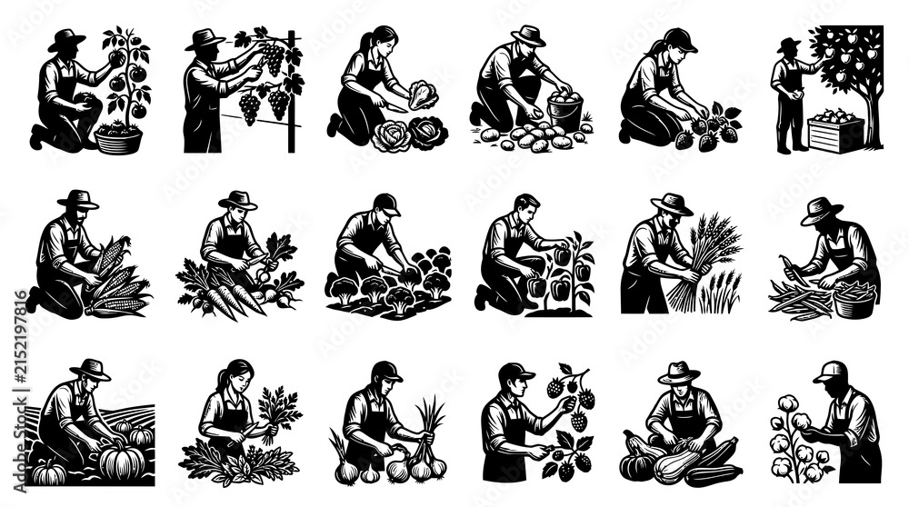 Fototapeta premium Farmers Harvesting Various Crops in Black and White Line Art Style