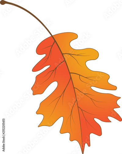 Autumn leaf logo template illustration icon design