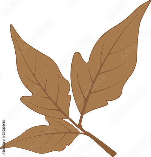 Autumn leaf logo template illustration icon design