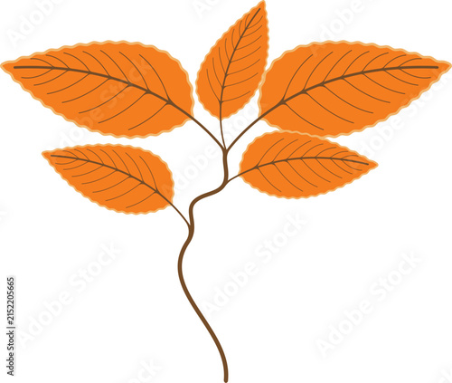 Autumn leaf logo template illustration icon design