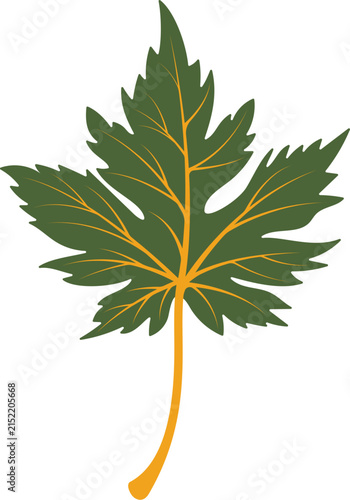 Autumn leaf logo template illustration icon design