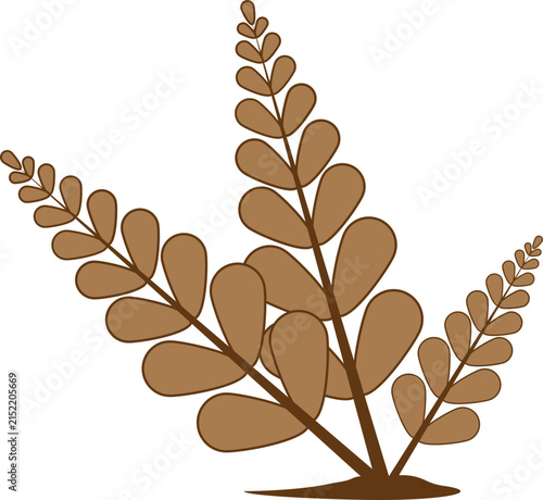 Autumn leaf logo template illustration icon design