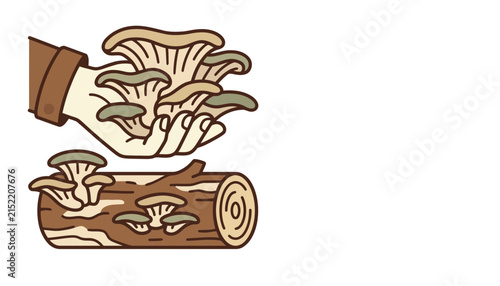 Vintage oyster mushroom harvest vector, hand holding wild mushrooms, organic fungi growing on wood log illustration