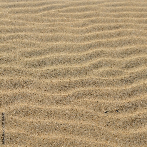 Pristine Fine Beach Sand Surface Texture