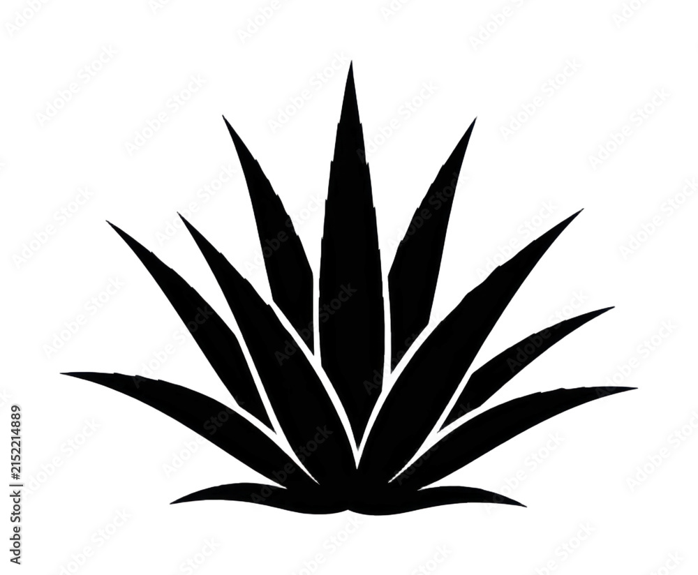 Fototapeta premium PNG Bold agave silhouette design.