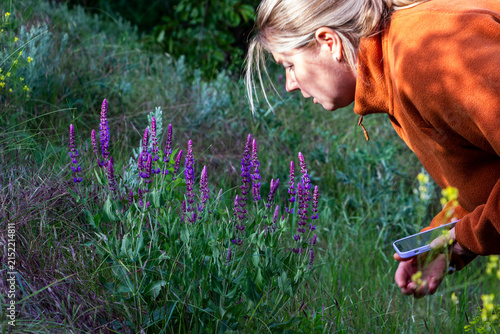 Canvastavla woman in orange sweater bent over bright purple spike-shaped inflorescences of s
