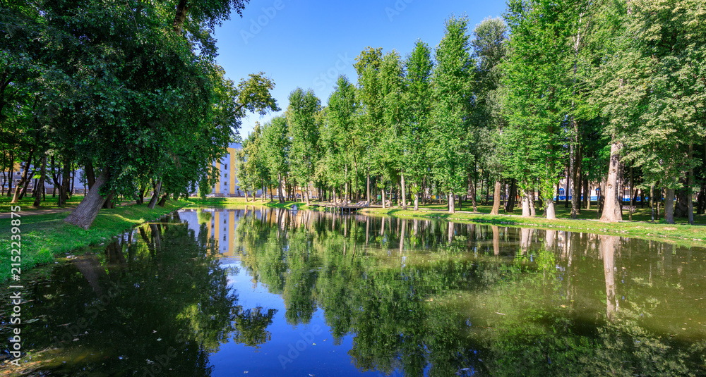 Fototapeta premium Serene forest pond with tall trees, lush greenery, and clear water reflection