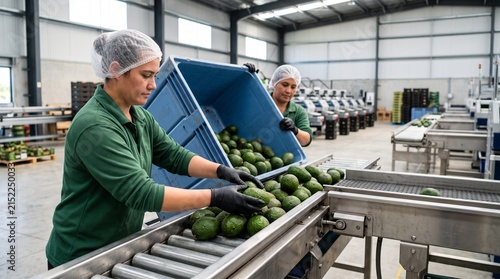 Workers receive locally grown avocados at a New Zealand packhouse