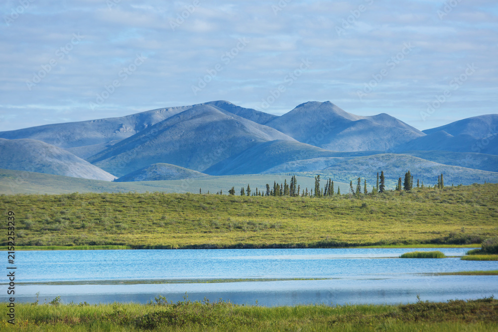 Obraz premium Lake in tundra