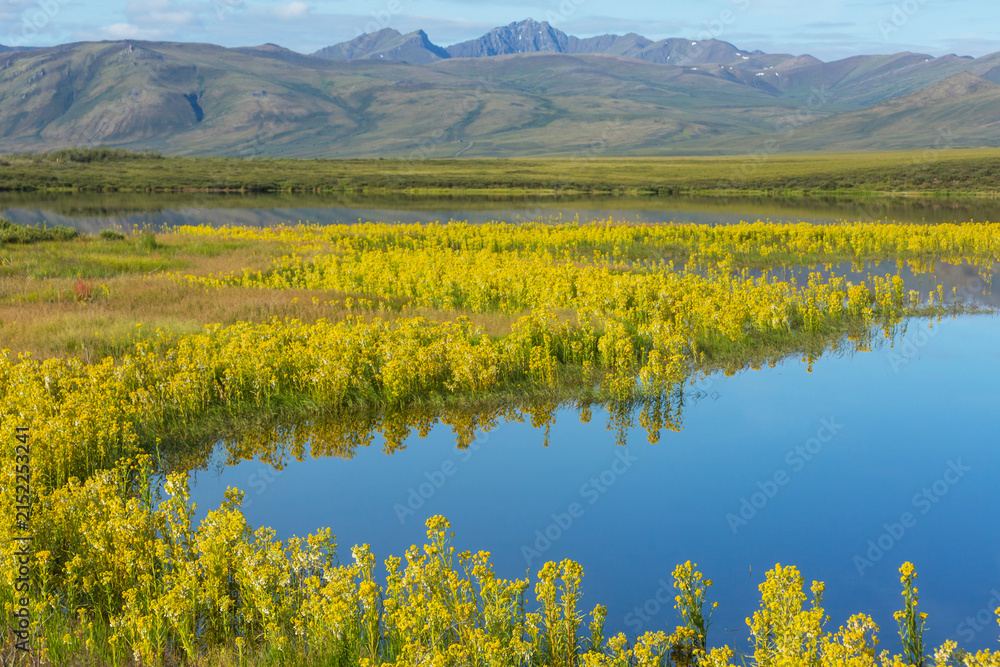 Obraz premium Lake in tundra
