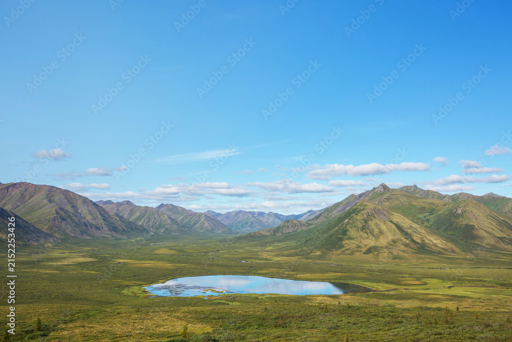 Obraz premium Lake in tundra