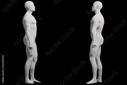 Fotografie 3D rendered male figure model standing side views