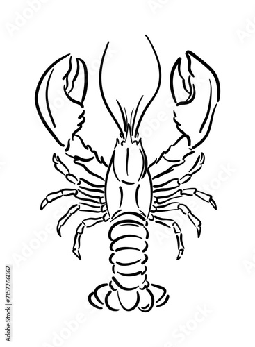 Black and white line drawing of a lobster