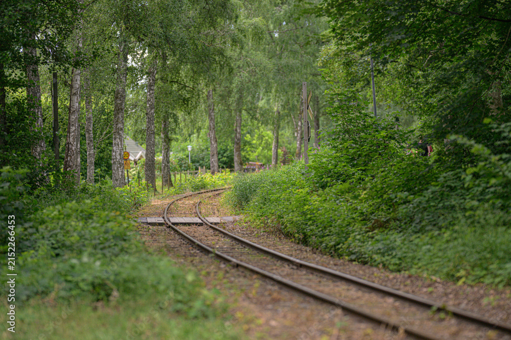 Fototapeta premium Curving railway tracks leading through dense green summer forest.