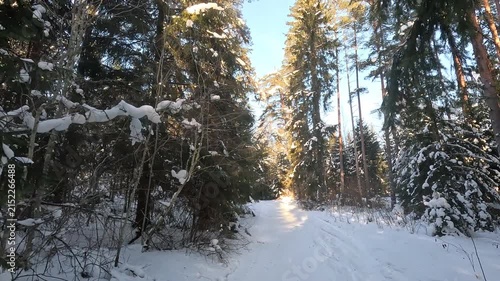 Hiking in a snowy forest on a sunny day.
