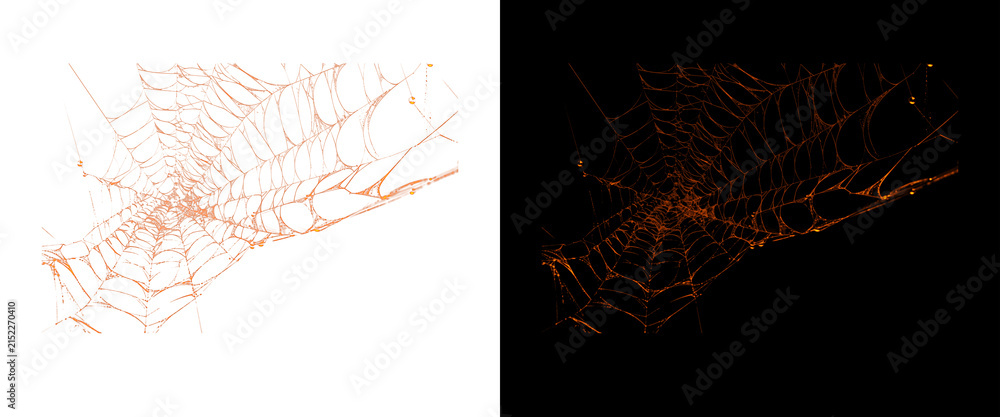 Naklejka premium Spooky orange spiderweb on white and black background, creepy Halloween spider web design elements, glowing cobweb texture