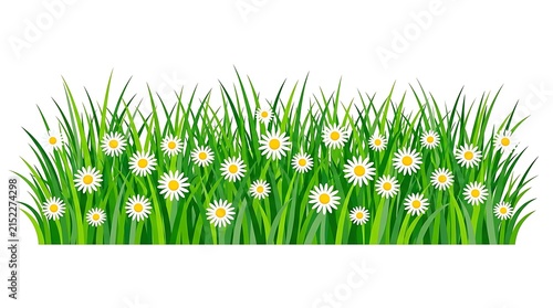 Green grass and white daisy flowers border illustration for spring nature background garden banner design element decor