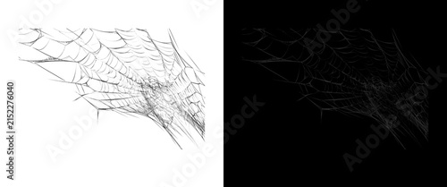 Quadro su tela Spooky spider web corner elements, creepy cobweb textures on black and white bac