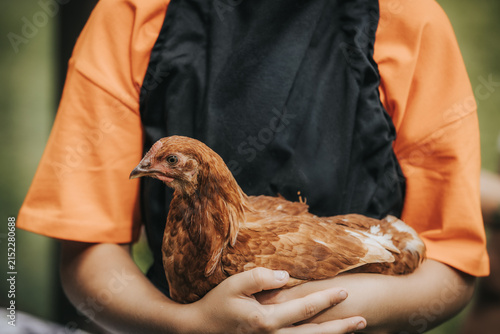 Child in orange shirt holds a brown chicken close to their chest, showcasing the bird's feathers and details in a natural outdoor setting