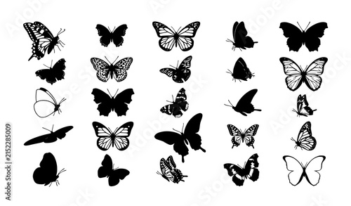 Diverse Butterfly Silhouettes Black and White Vector Illustration Set