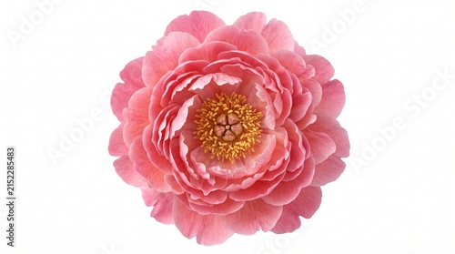 Luxury 3D render showcasing some of the world’s most beautiful flowers, featuring exquisite roses