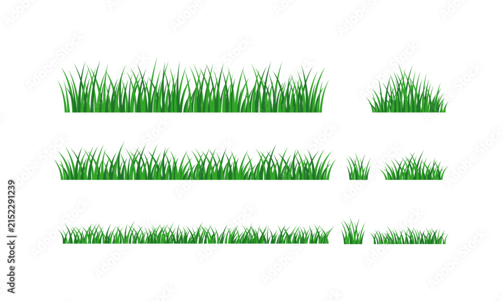 Obraz premium Green Grass Border Elements lawn nature field