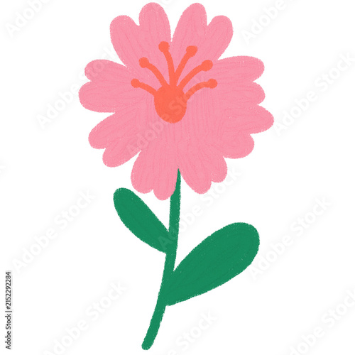 Handdrawn Pink Daisy Flower Illustration with Crayon Texture, Simple Minimalist Textured Floral