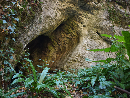 Fotografie Lower entrance of the Herman Ottó Cave surrounded by lush ferns and forest vegetation in the Szinva Gorge of the Bükk Mountains, Hungary