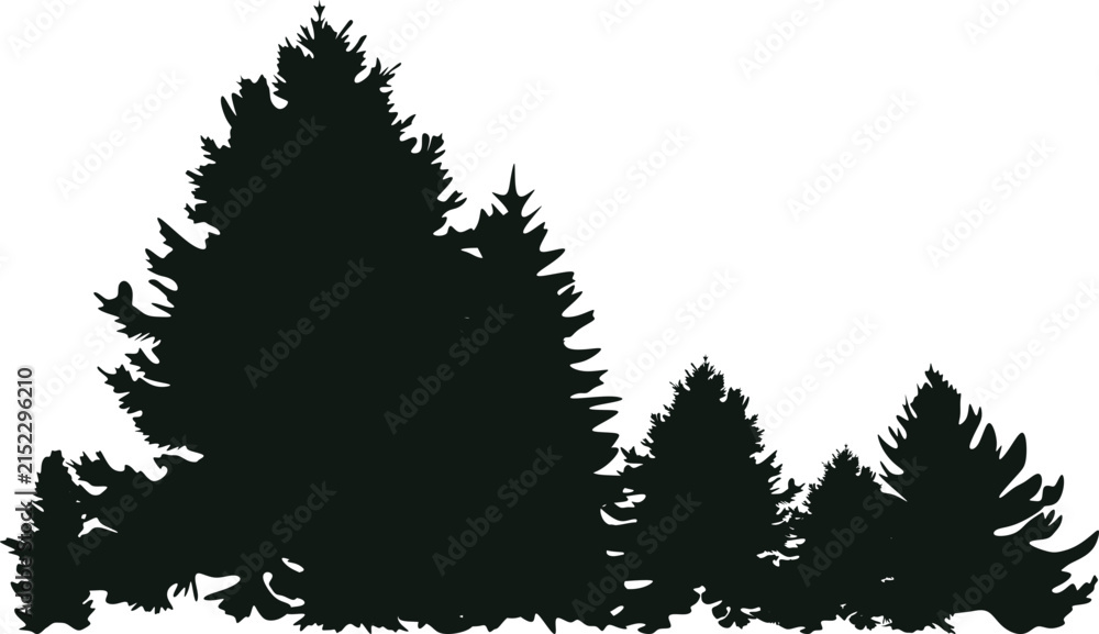 Obraz premium Pine Tree Forest Silhouette