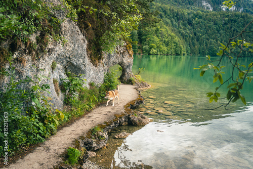Idyllic Weissensee landscape in Füssen, Allgäu, Bavaria